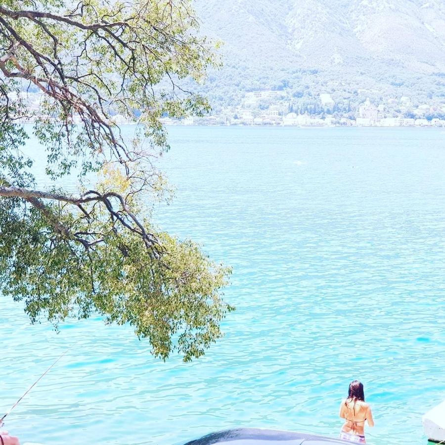 Montenegro Apartmant'S Kotor Dış mekan fotoğraf