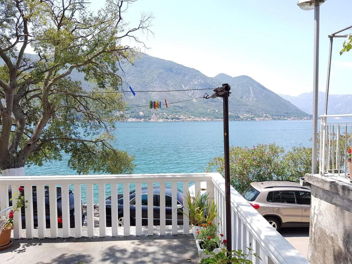 Montenegro Apartmant'S Kotor Dış mekan fotoğraf